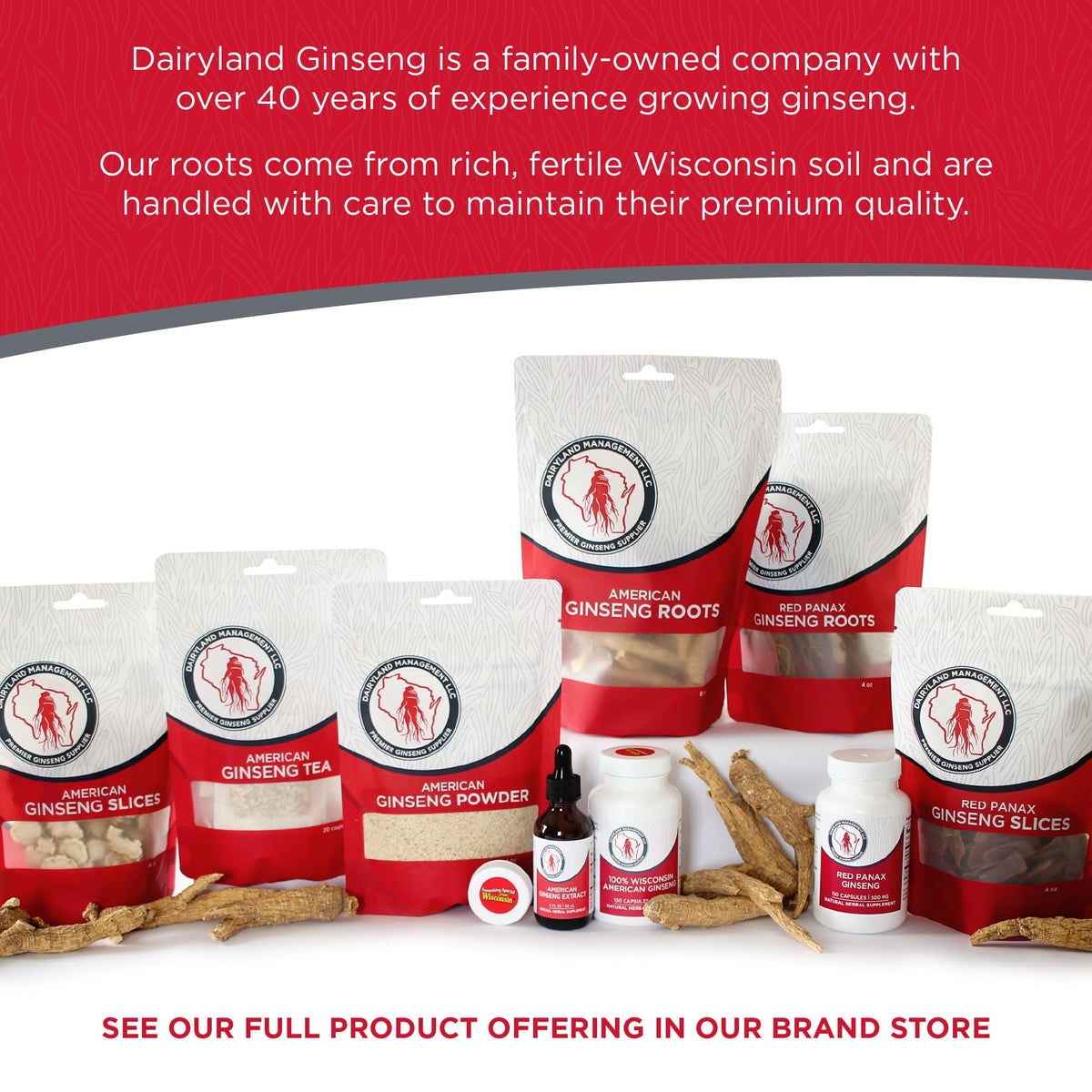 Dairyland American Wisconsin Ginseng Powder nutritional supplement
