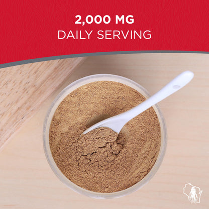 Red panax ginseng powder texture and scoop preparation
