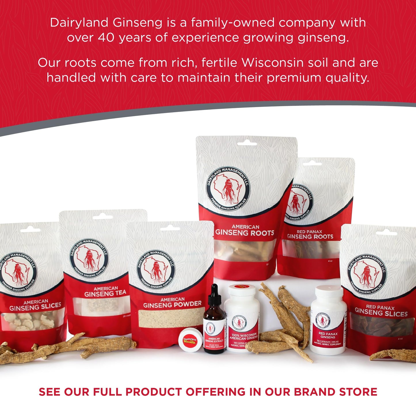 Dairyland Management ginseng powder for energy and focus