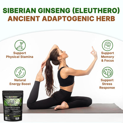 Go Nutra 16 Ounce Eleuthero root extract supplement bottle