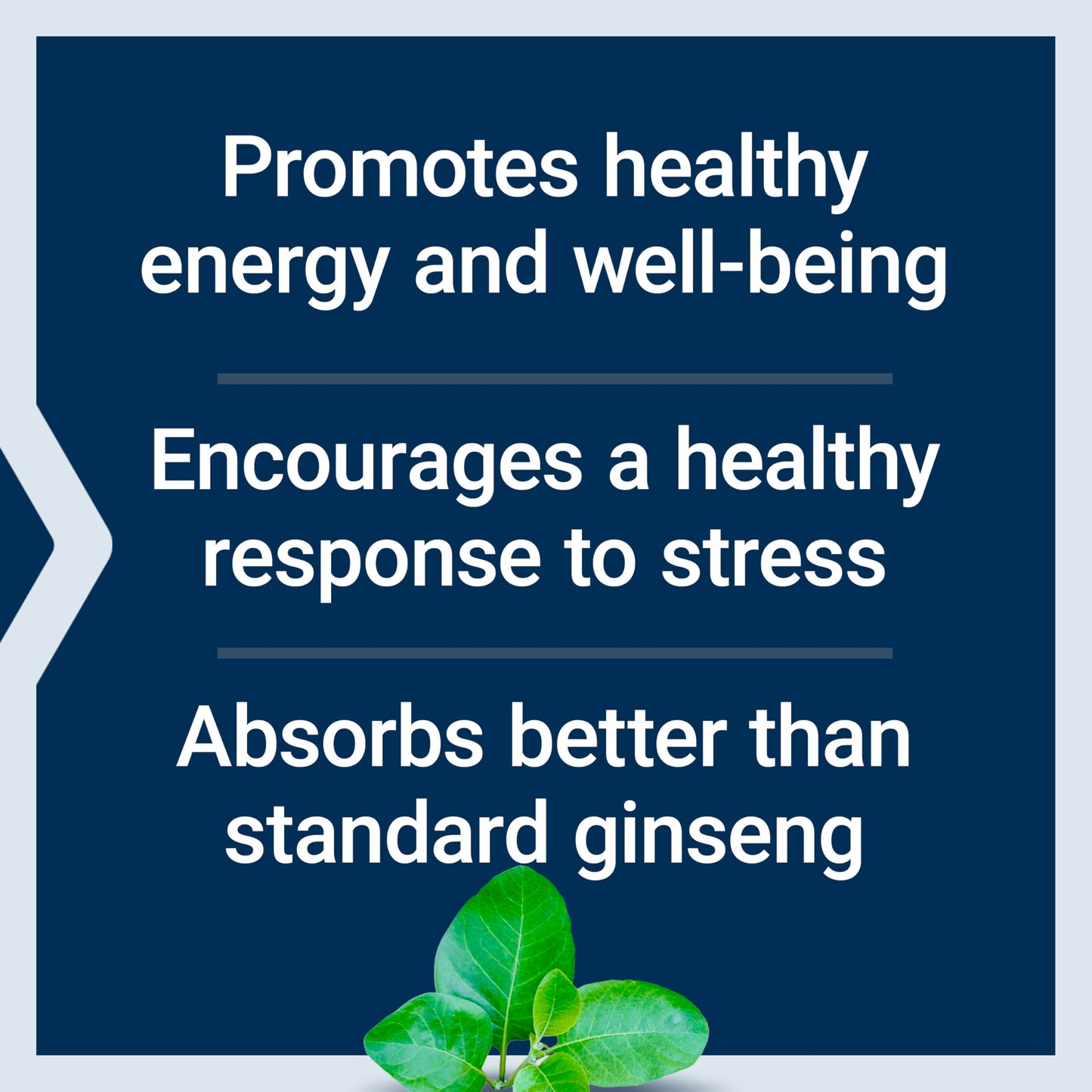 Life Extension Ginseng Energy Boost vegetarian capsules supplement facts