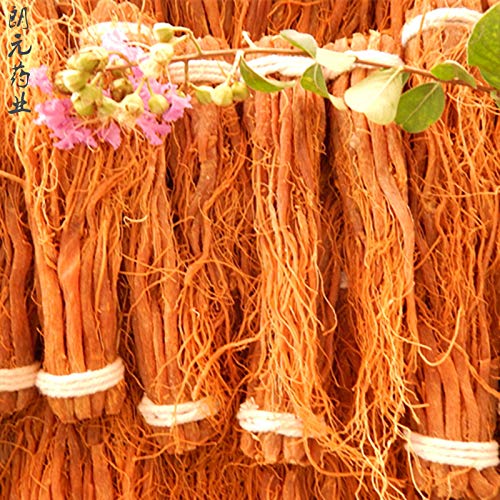 Close up of AAAAA+ grade Red Panax Ginseng root pieces for tea