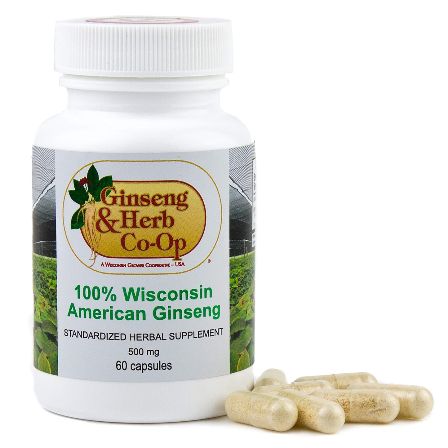 Authentic USA imported Wisconsin Ginseng 60 count bottle