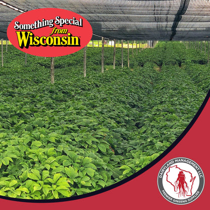 Dairyland ginseng capsules back label ingredients