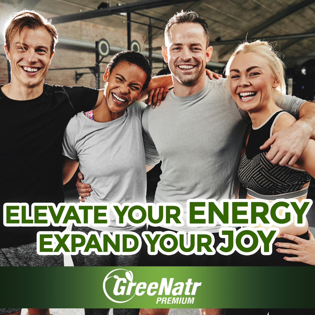 GreeNatr Ginkgo Biloba and Panax Ginseng dietary supplement tablets
