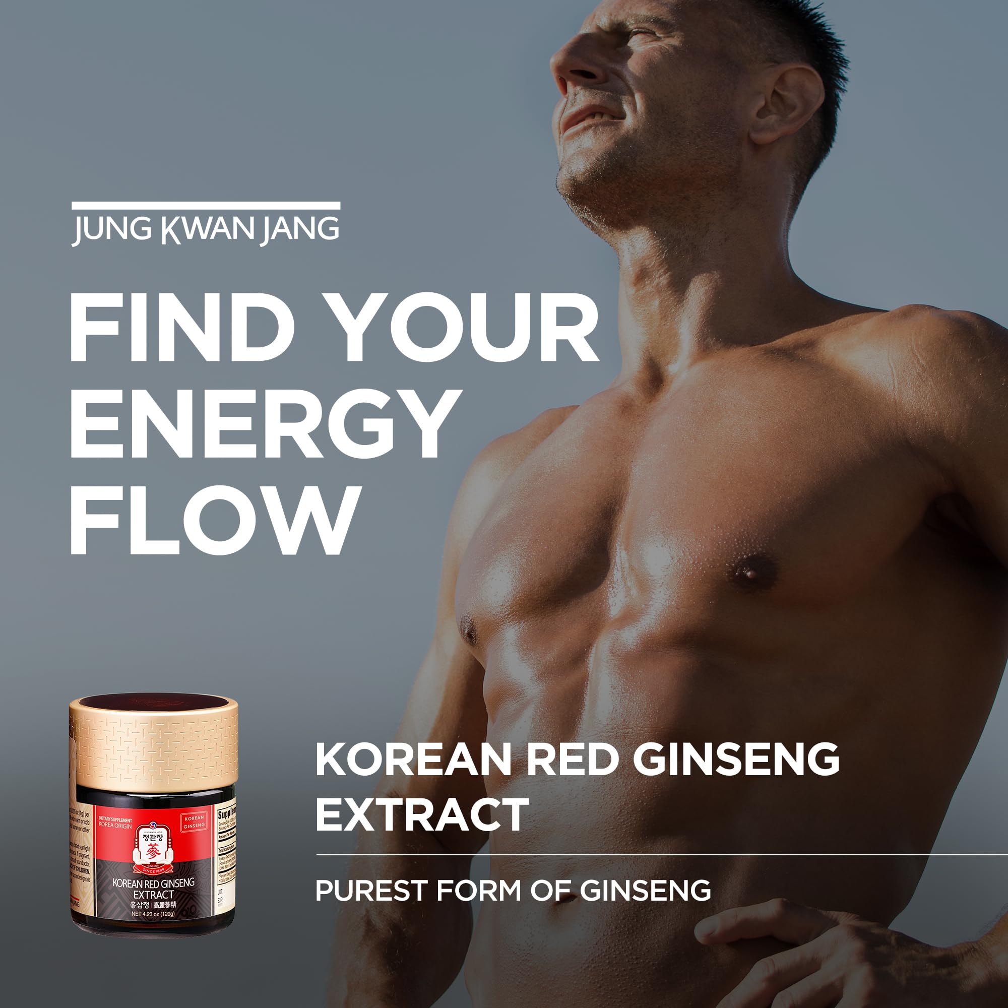Authentic Jung Kwan Jang Korean Red Ginseng paste jar label details