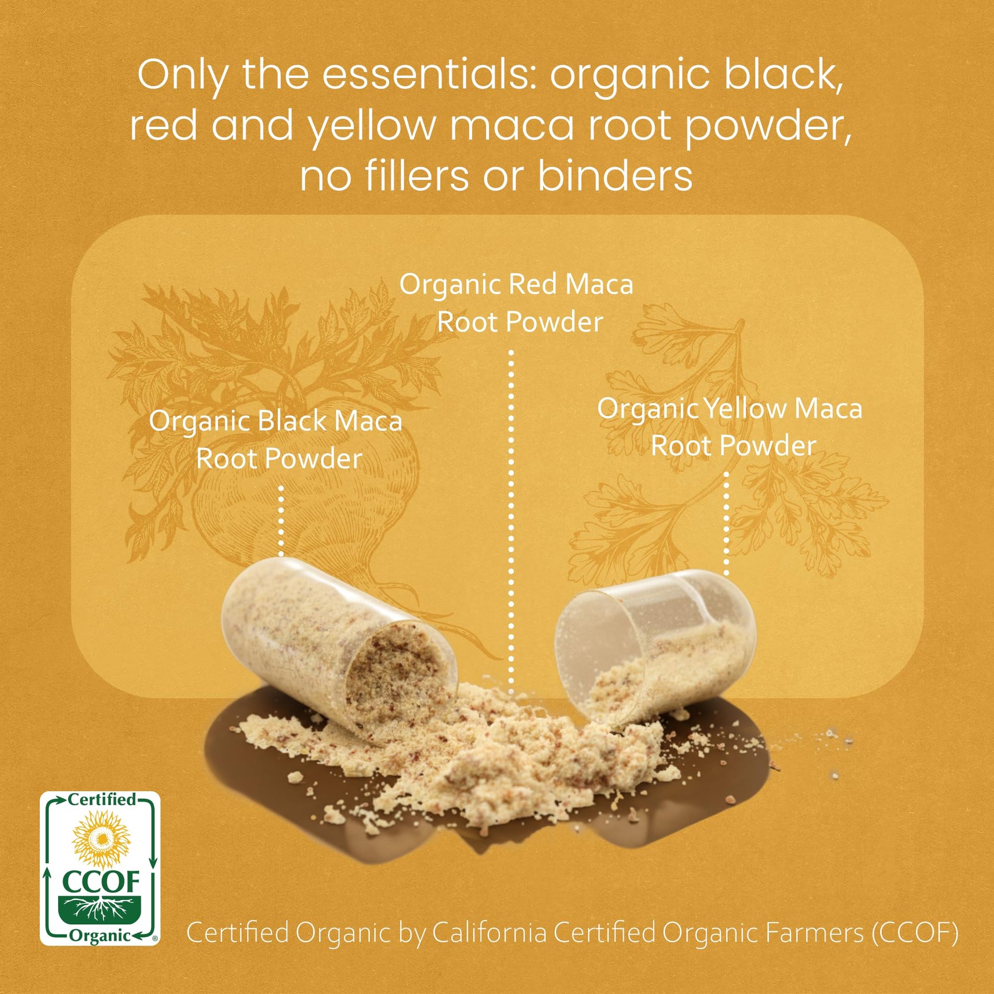 NaturaLife Labs organic maca root triple blend capsules