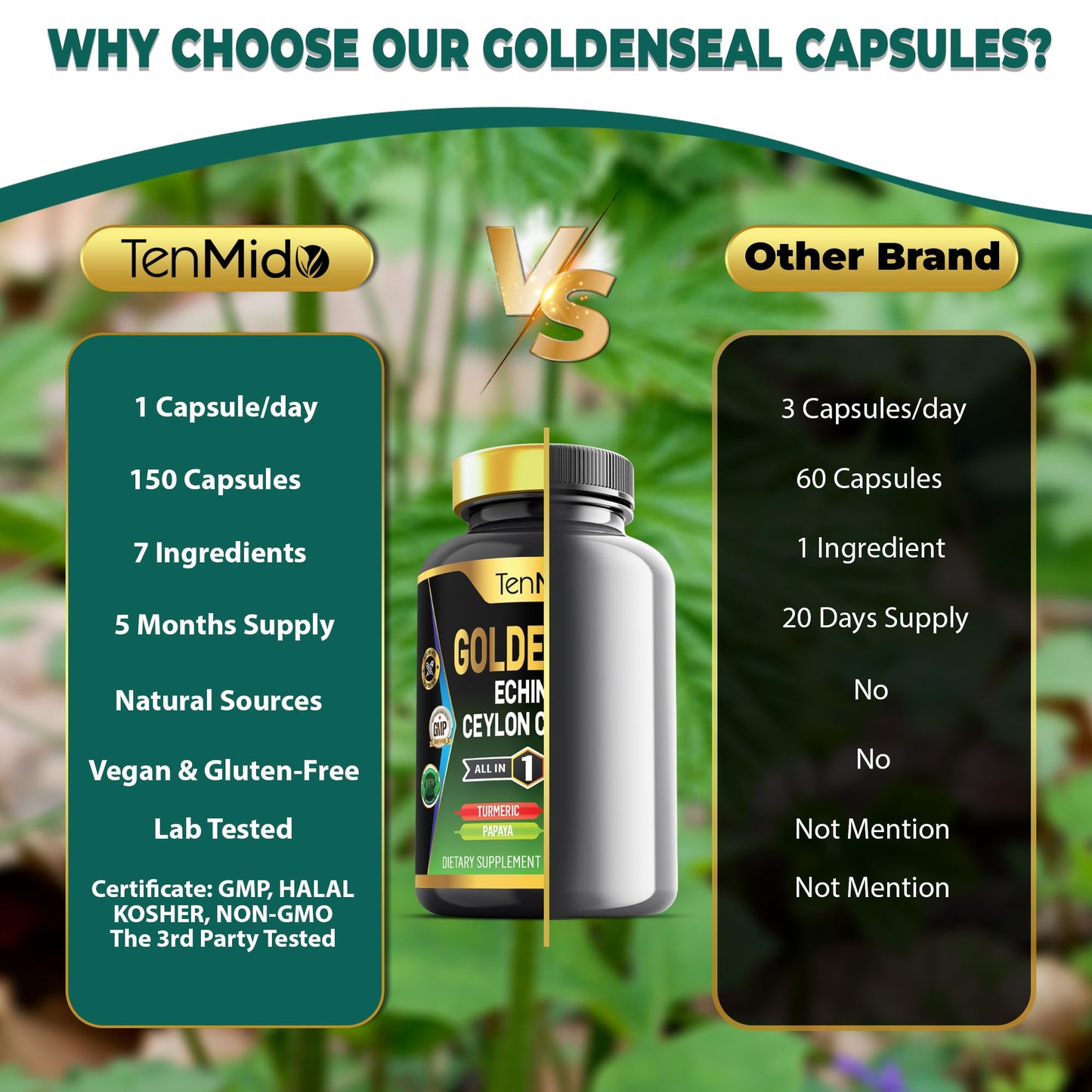 Back label of Tenmido Goldenseal Root showing supplement facts including echinacea, ceylon cinnamon, and turmeric.