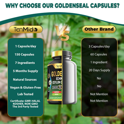 Back label of Tenmido Goldenseal Root showing supplement facts including echinacea, ceylon cinnamon, and turmeric.