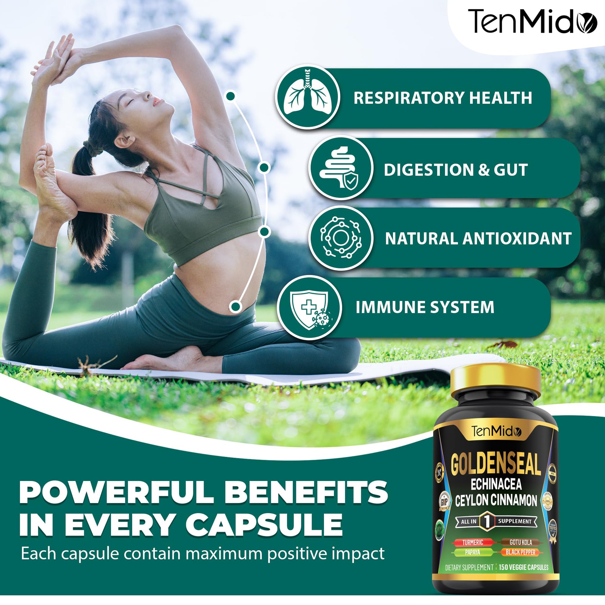 Close-up view of the premium herbal ingredients listed on the Tenmido digestive health support bottle.