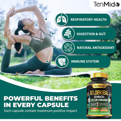 Close-up view of the premium herbal ingredients listed on the Tenmido digestive health support bottle.