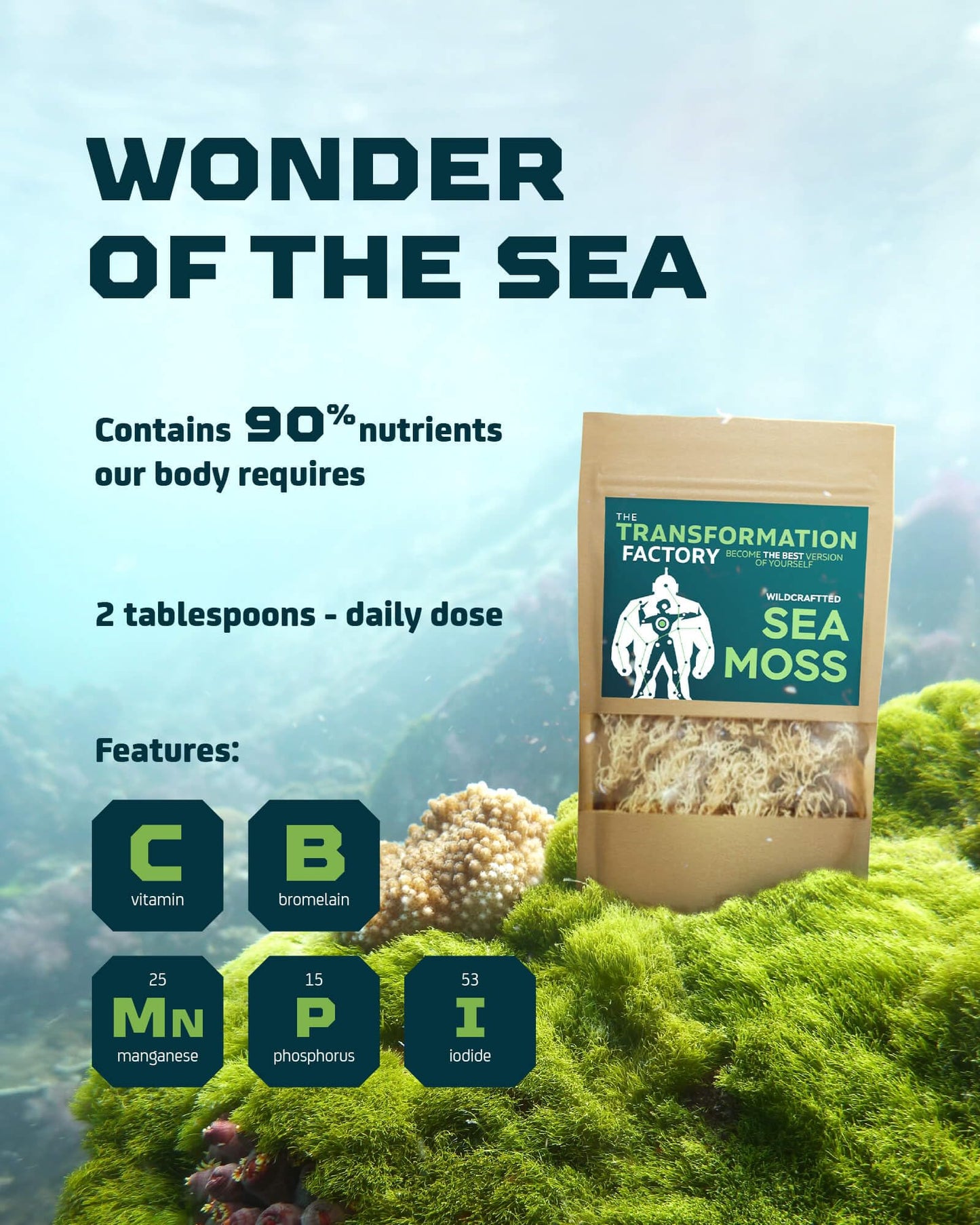 Dried golden beige raw sea moss seaweed out of packaging highlighting authentic texture