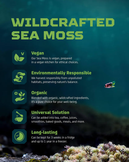 Nutrient rich natural Eucheuma cottonii dried seaweed from the Atlantic Ocean