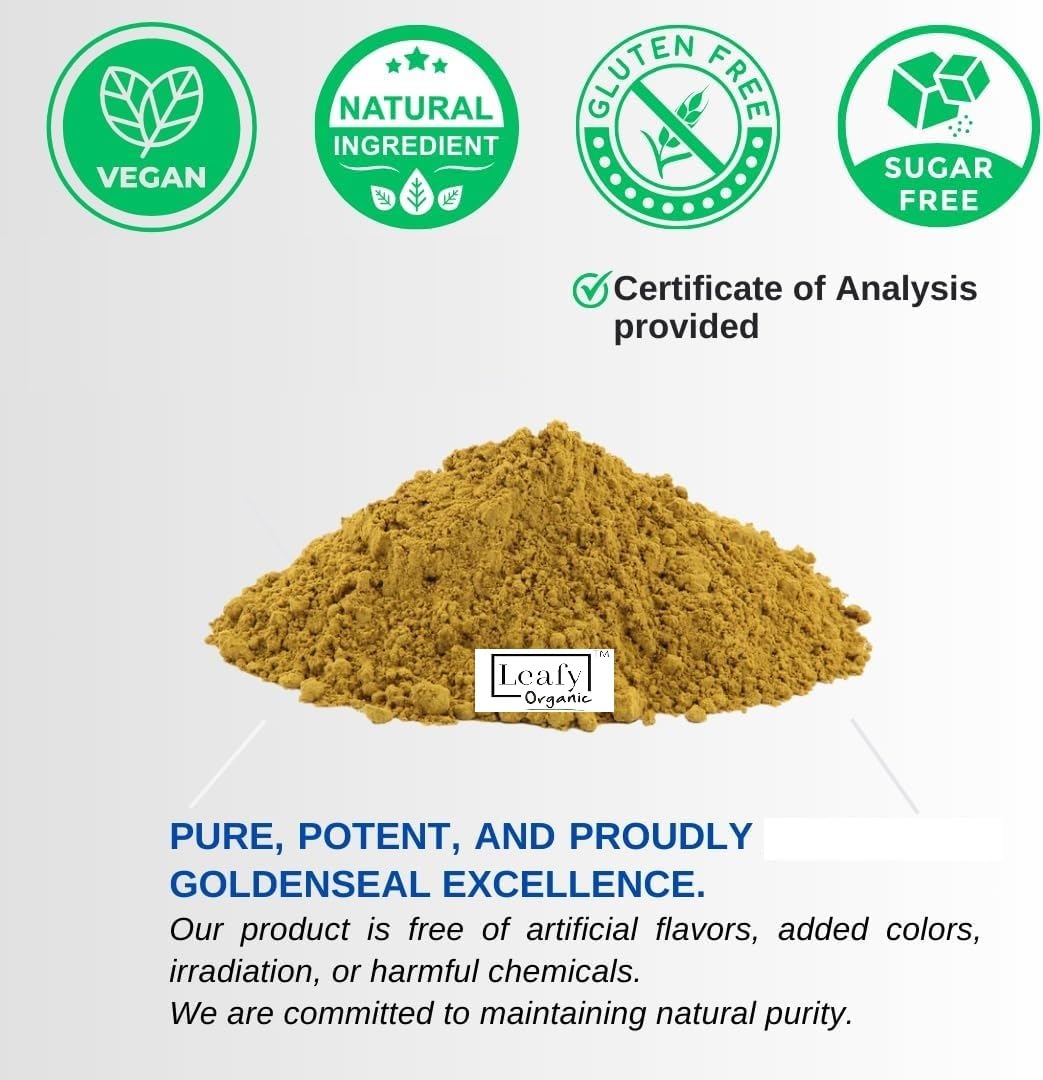 Premium imported goldenseal root powder herbal supplement texture close up