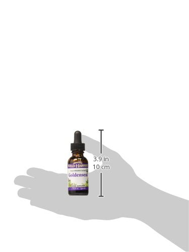 Side profile of authentic USA imported goldenseal liquid supplement showing clean product packaging