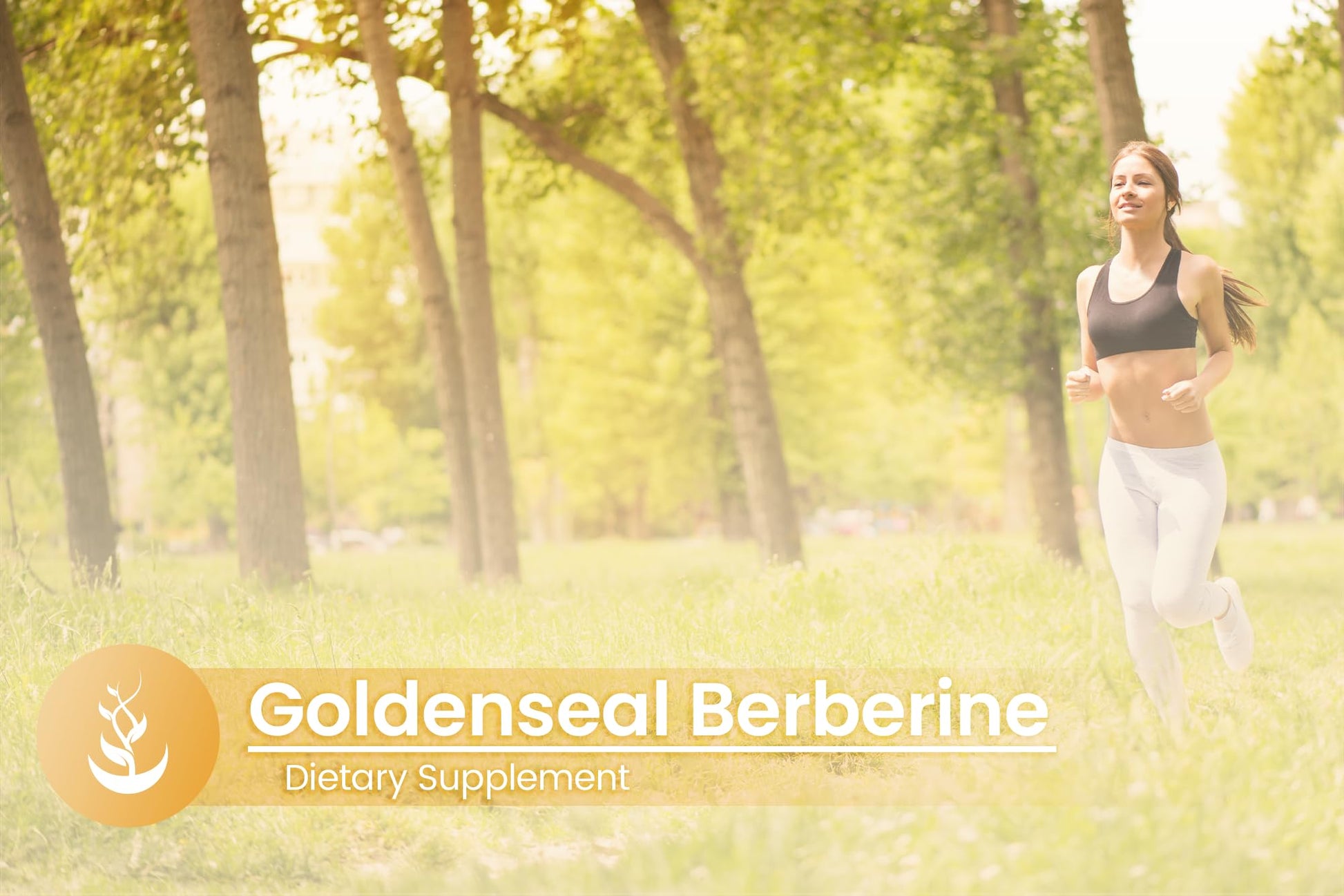 Close-up view of the plant-derived vegan capsules containing 500mg goldenseal root extract.
