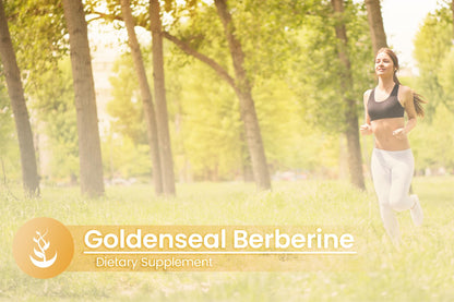 Close-up view of the plant-derived vegan capsules containing 500mg goldenseal root extract.