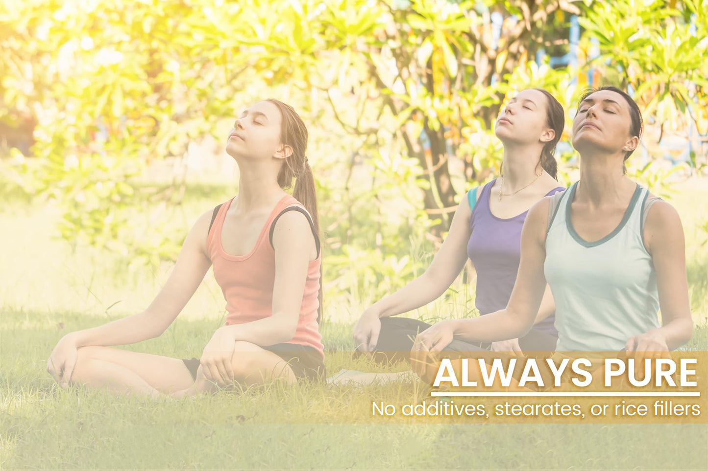 Pure Original Ingredients dietary supplement packaging showing zero additives and magnesium stearate.