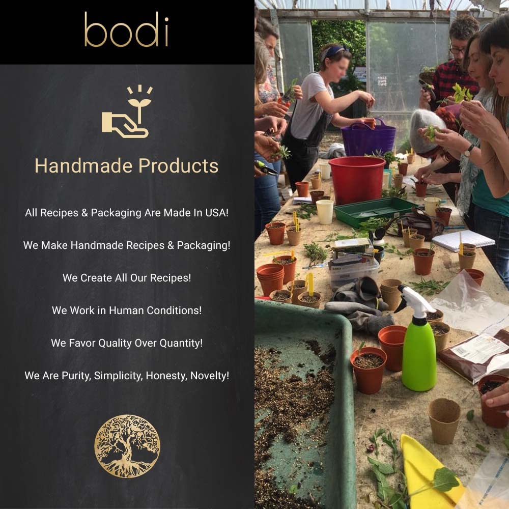 Back label view of Bodi Goldenseal Root powder highlighting the organic ingredients and concentrated serving directions.