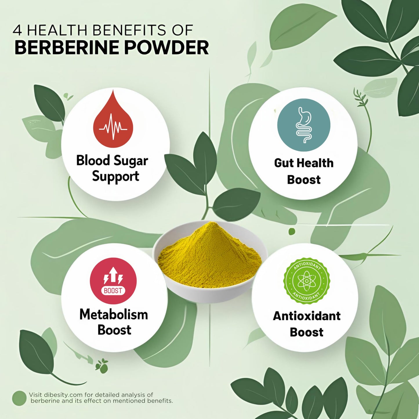Authentic imported USA berberine powder for blood sugar management and insulin resistance support.