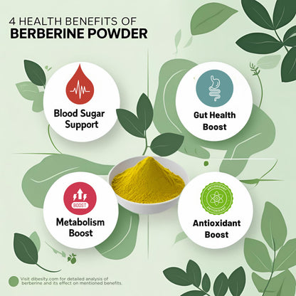 Authentic imported USA berberine powder for blood sugar management and insulin resistance support.