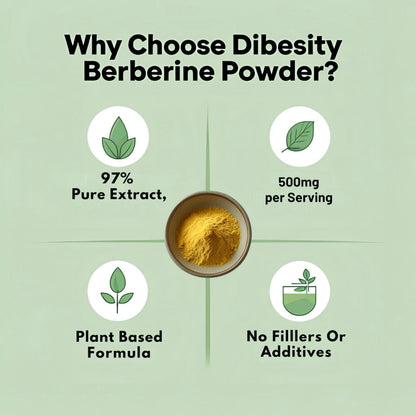 Gluten free and vegan pure berberine powder supplement showing fine texture for customizable dosing.