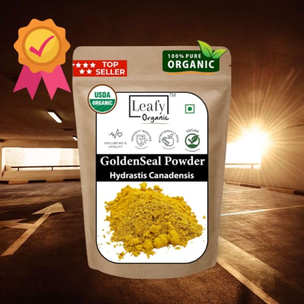 Pure golden yellow goldenseal root powder close up texture