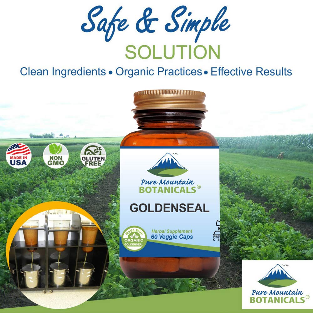 Side angle of organic goldenseal root brown glass bottle showcasing vegan certifications