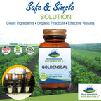 Side angle of organic goldenseal root brown glass bottle showcasing vegan certifications