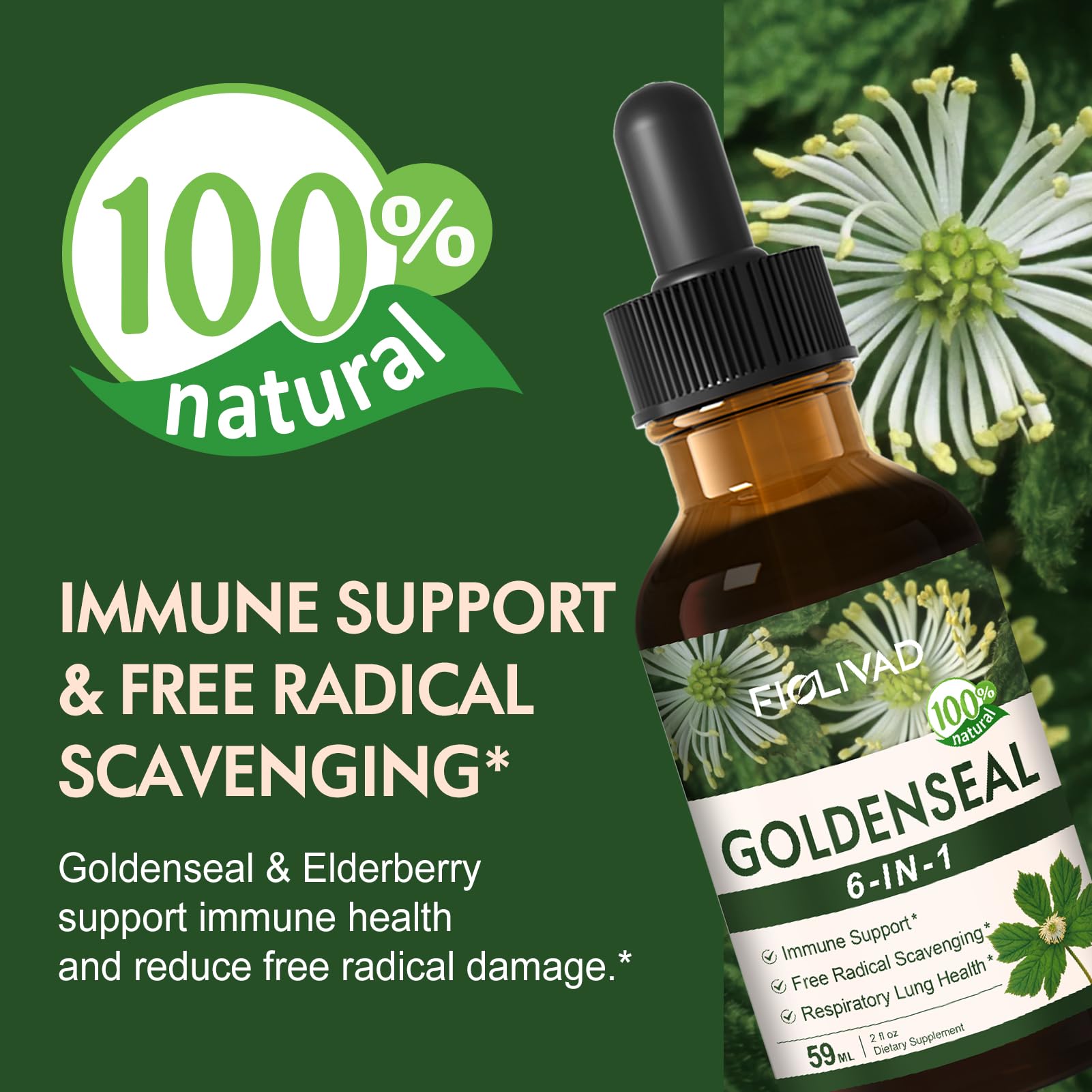 Fiolivad Goldenseal and Echinacea supplement dropper bottle showcasing the six in one formula layout