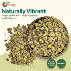 Natural goldenseal root pieces displayed next to its resealable freshness pouch