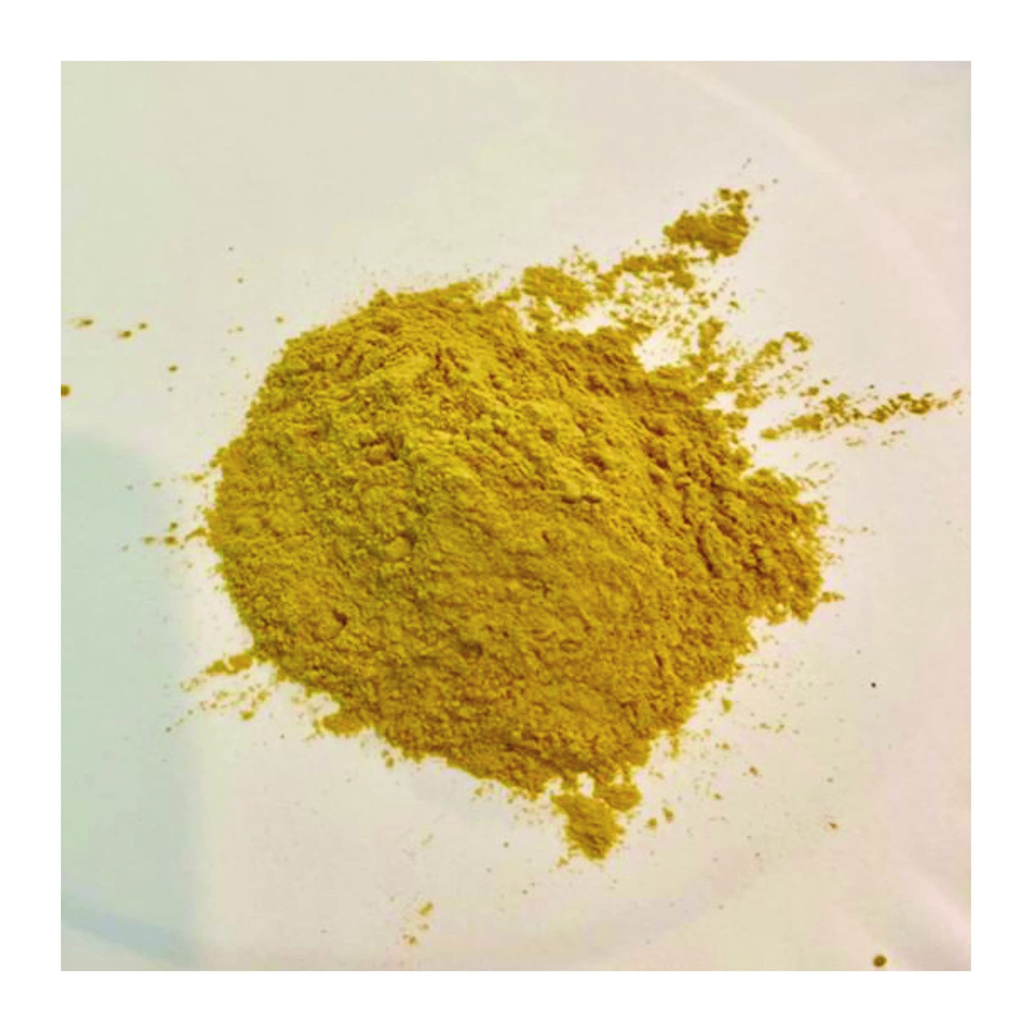 Pure yellow-brown goldenseal root supplement powder alongside the product packaging