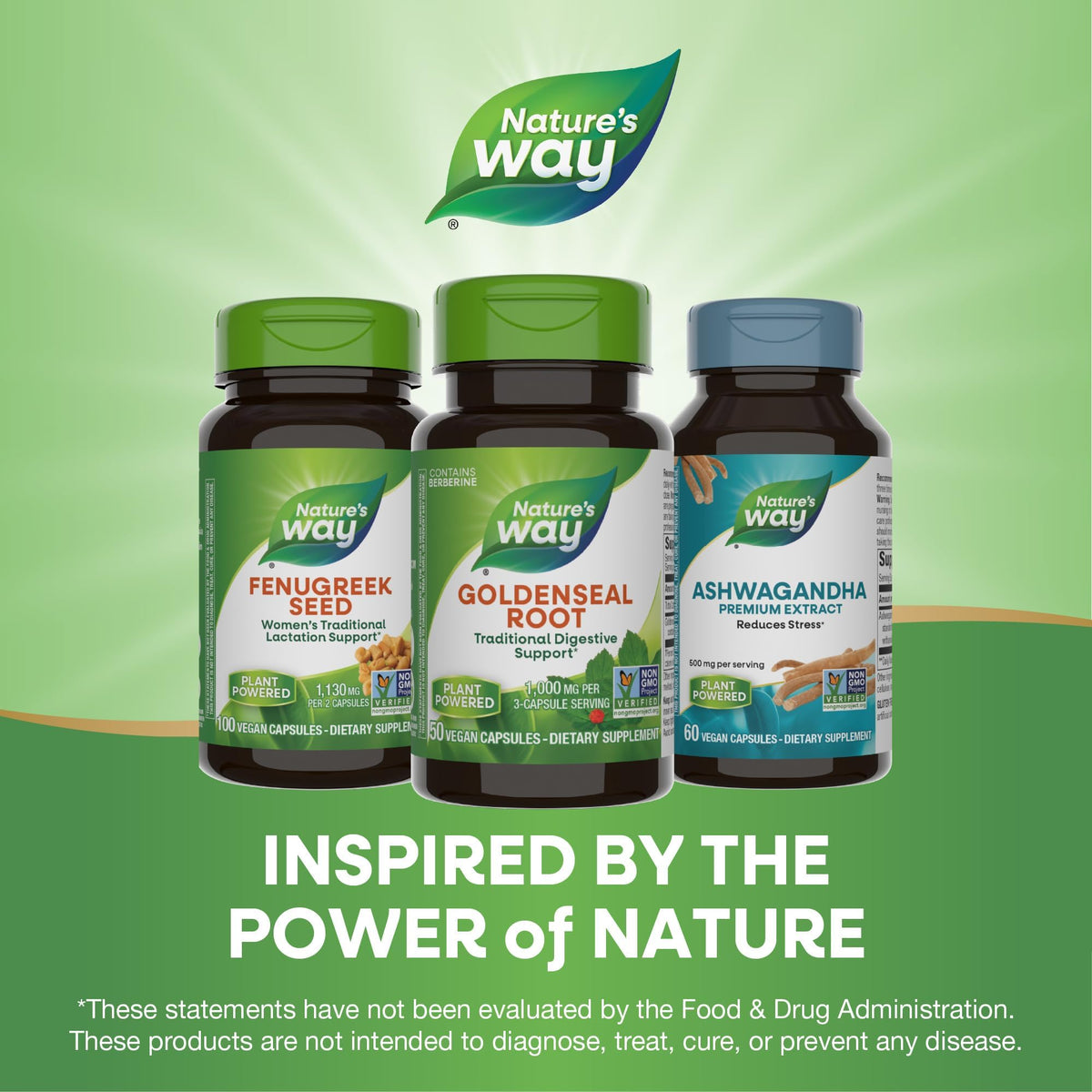 Nature's Way Goldenseal Root 50 count bottle standing upright on a clean retail shelf setup.
