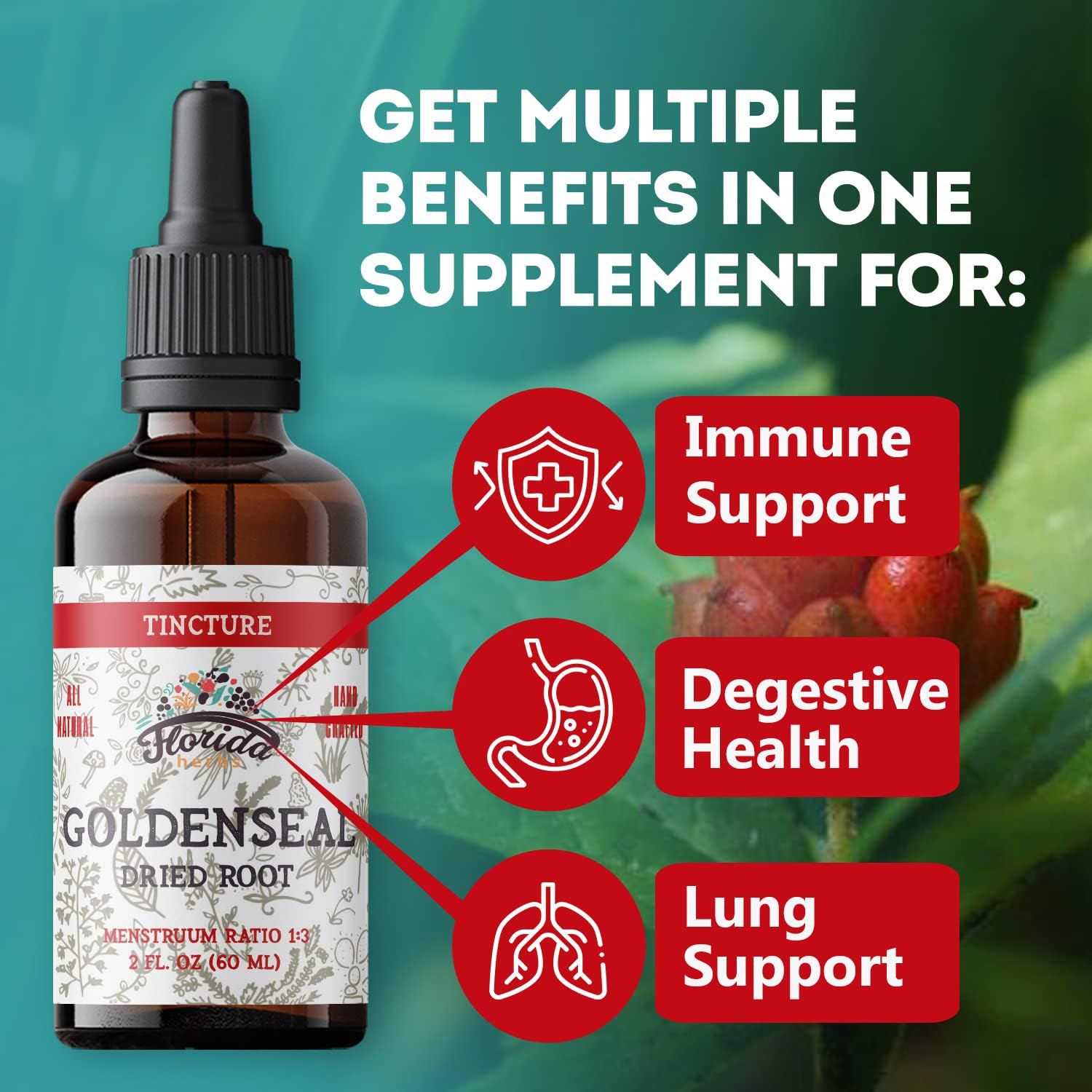 Alcohol free goldenseal root drops dropper cap close up overview
