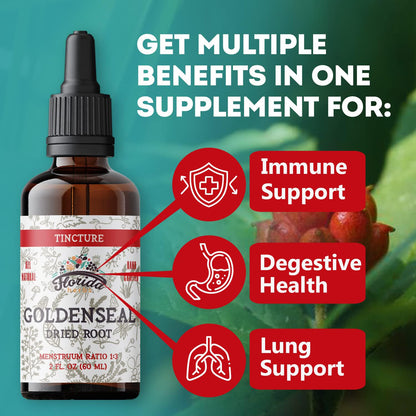 Alcohol free goldenseal root drops dropper cap close up overview
