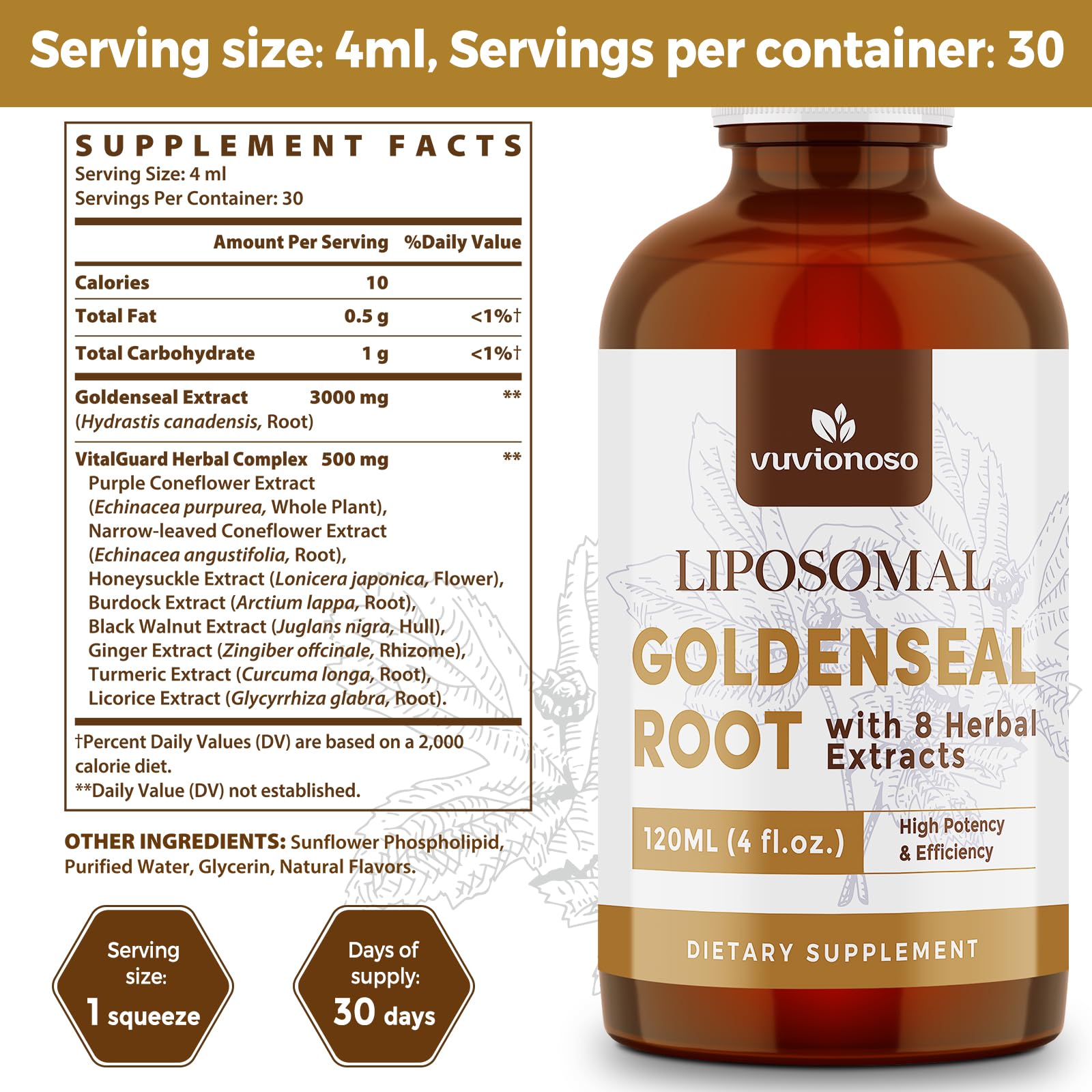 HERBILO Goldenseal liquid tincture side panel detailing the advanced liposomal technology and absorption benefits.