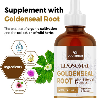 Vuvionoso premium liposomal goldenseal root liquid 4 fluid ounce packaging displaying holistic respiratory care facts.
