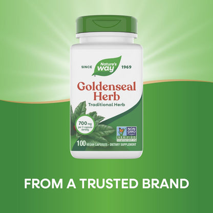 Close up view of the plant-derived vegetarian capsules containing goldenseal herb powder.