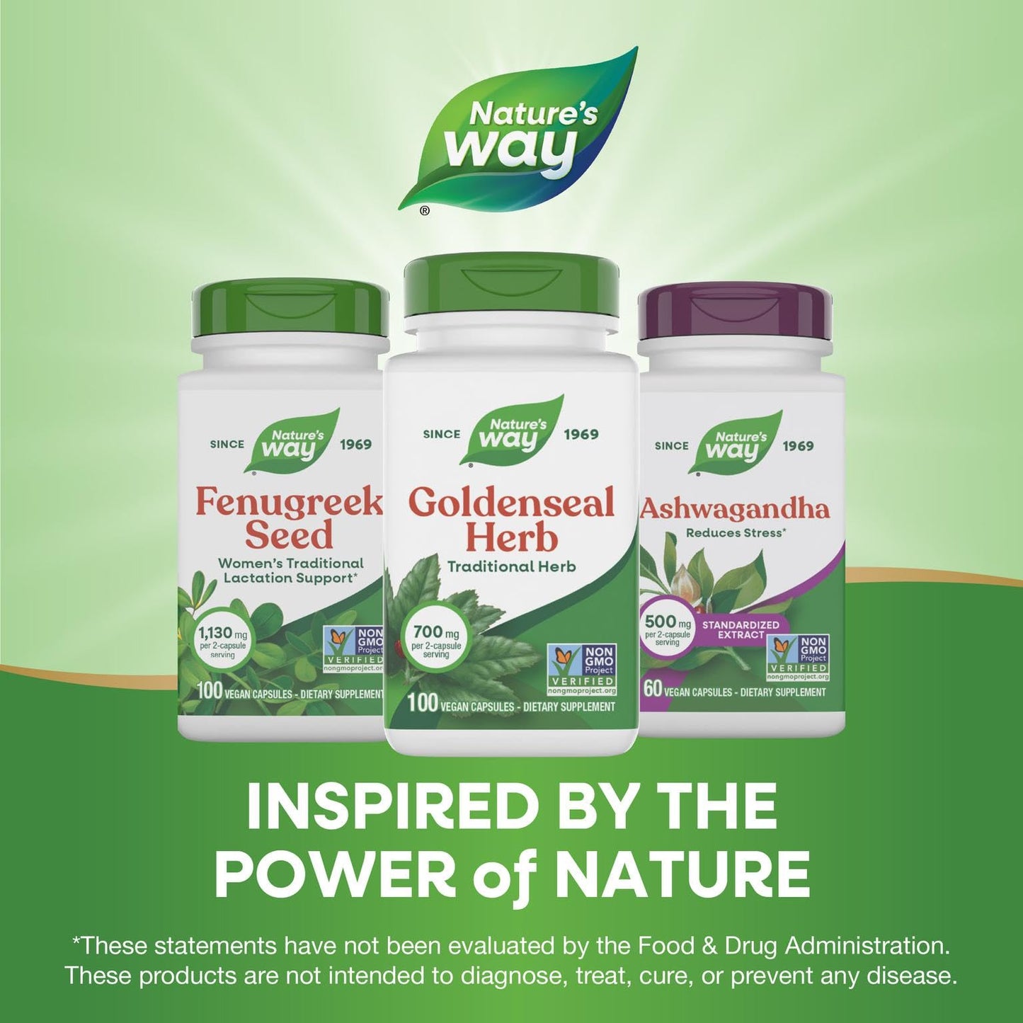 Top angle view of the non-GMO project verified goldenseal herbal capsules bottle lid and packaging.
