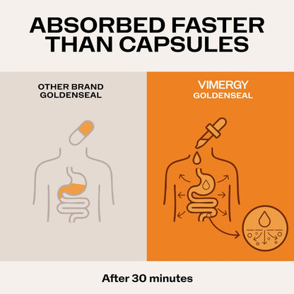 Vimergy vegan goldenseal root extract product description and dietary certifications