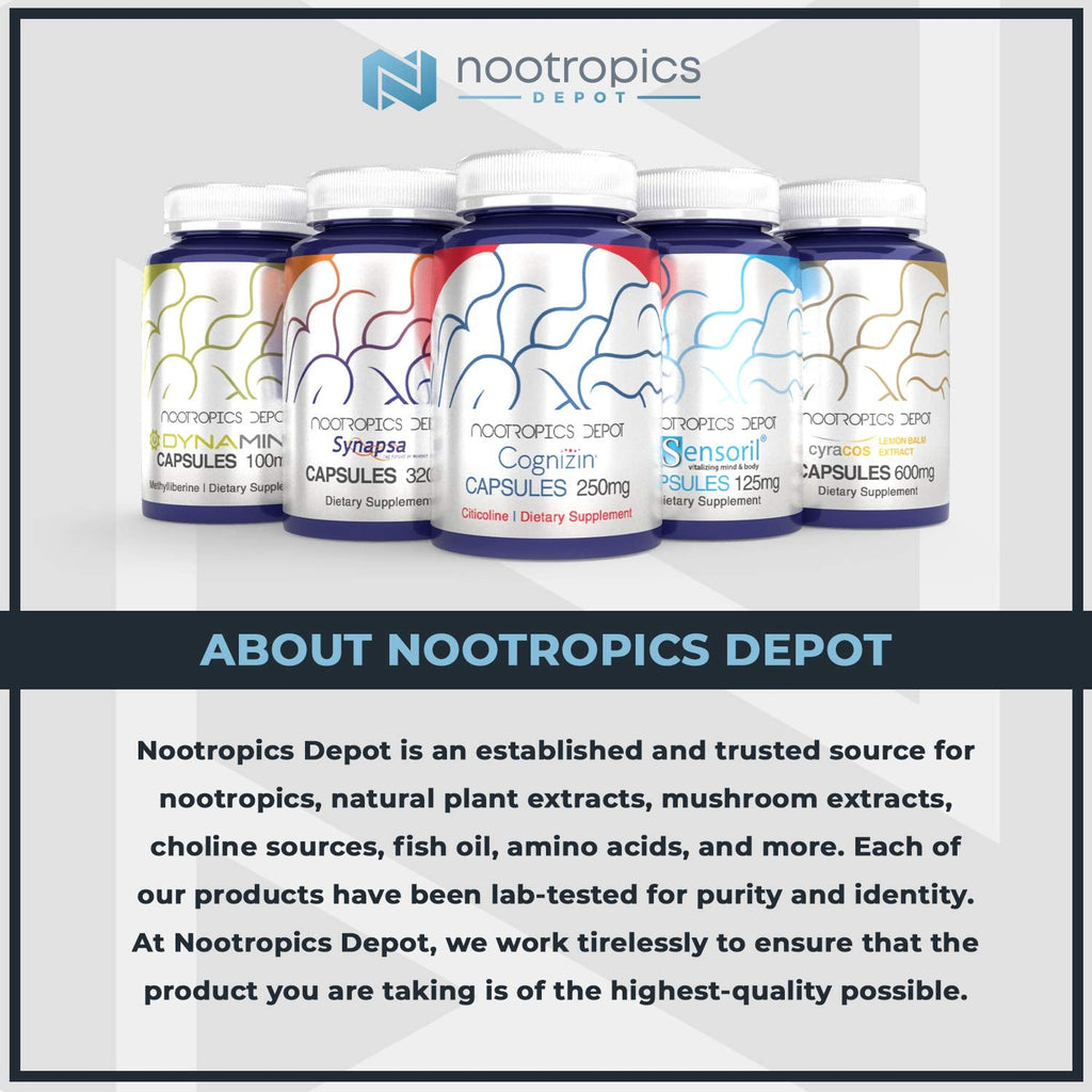 Standardized Centella asiatica extract powder by Nootropics Depot