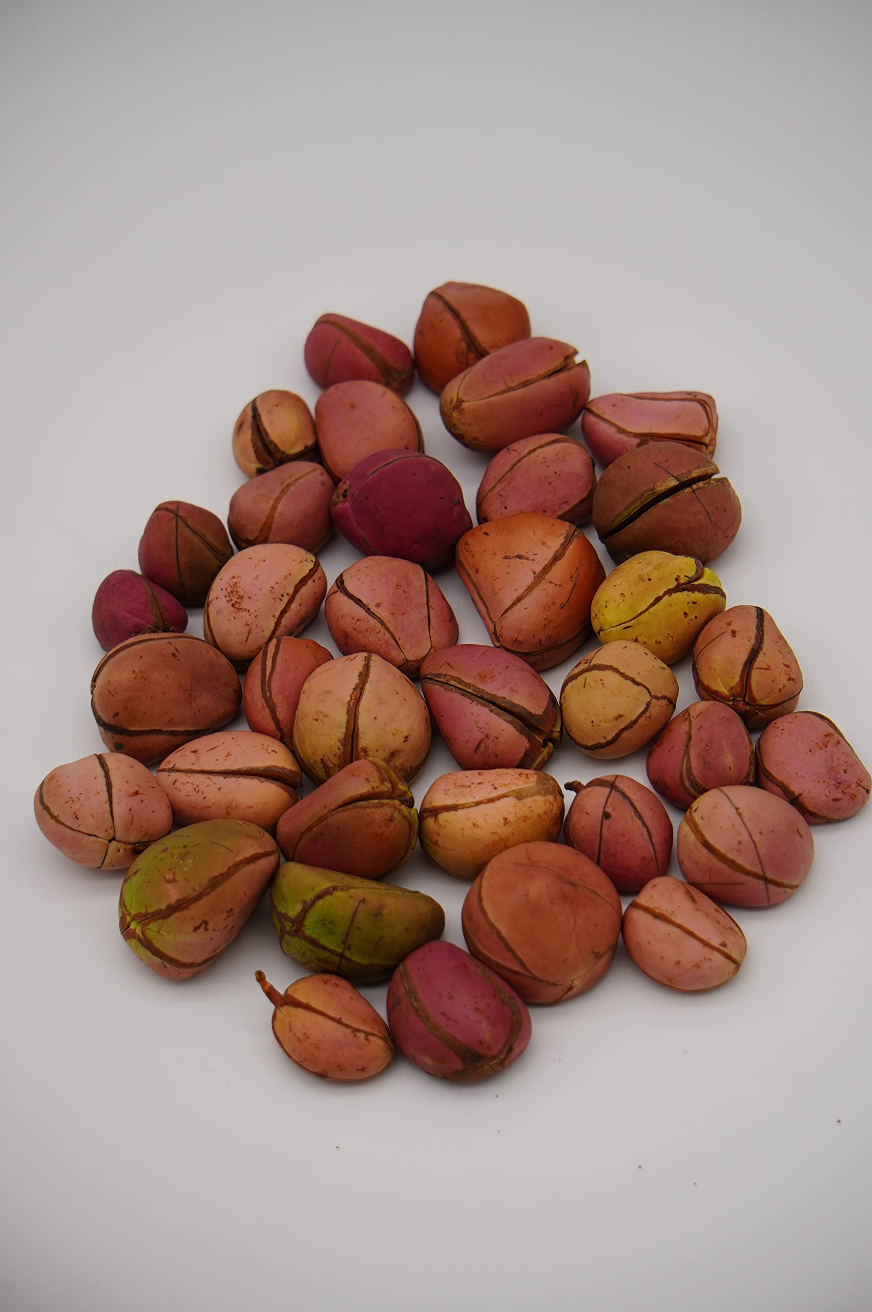 Authentic whole red ripe four lobe kola nuts on a clean surface
