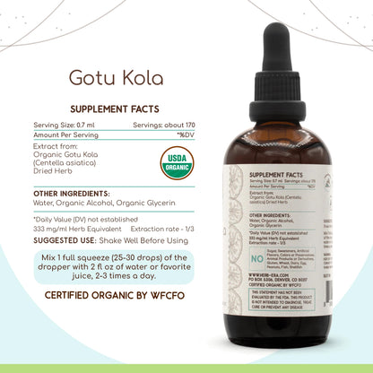 Premium USA imported HerbEra Gotu Kola liquid tincture with dropper cap