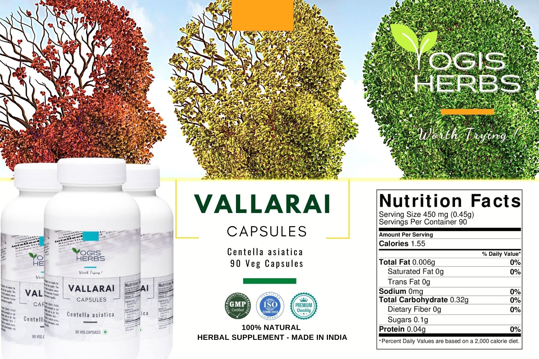 Yogis Herbs Gotu Kola vegetarian capsules bottle for memory health