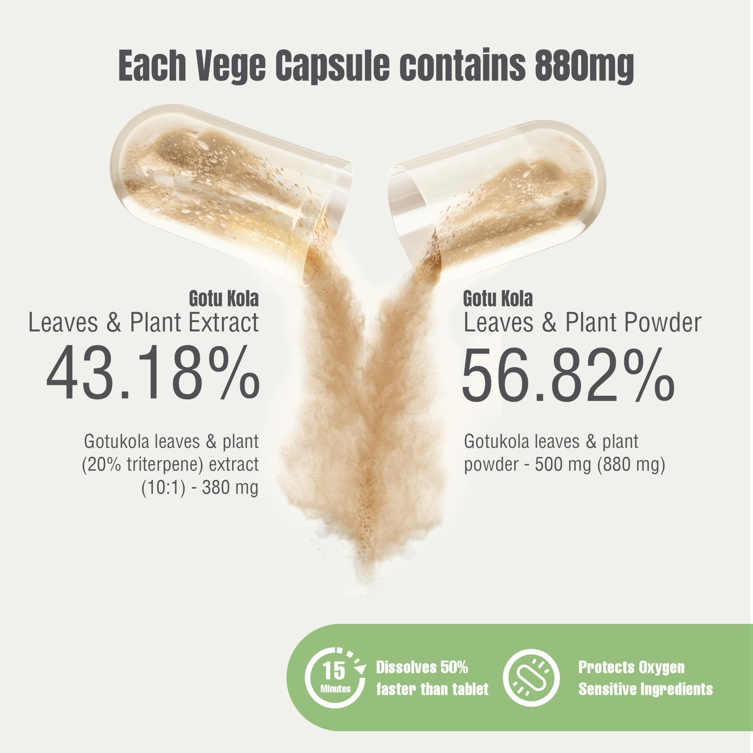 Herbsforever Centella Asiatica supplement fact panel and ingredient label close up