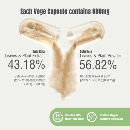 Herbsforever Centella Asiatica supplement fact panel and ingredient label close up