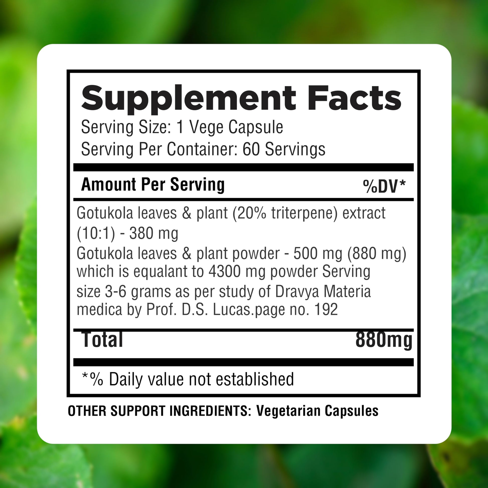 Herbsforever Gotu Kola 4300mg equivalent extract capsules clear details