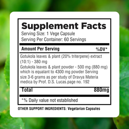 Herbsforever Gotu Kola 4300mg equivalent extract capsules clear details
