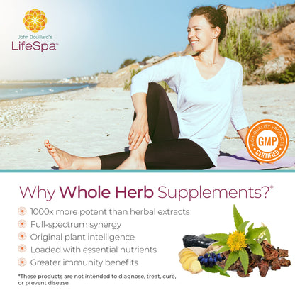 LifeSpa Brahmi Brain 500mg capsules bottle displayed on a clean premium background