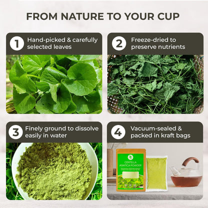 Multi-purpose cica powder being mixed into a DIY soothing face mask.